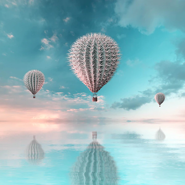 photomanipulation-portfolio-post-2