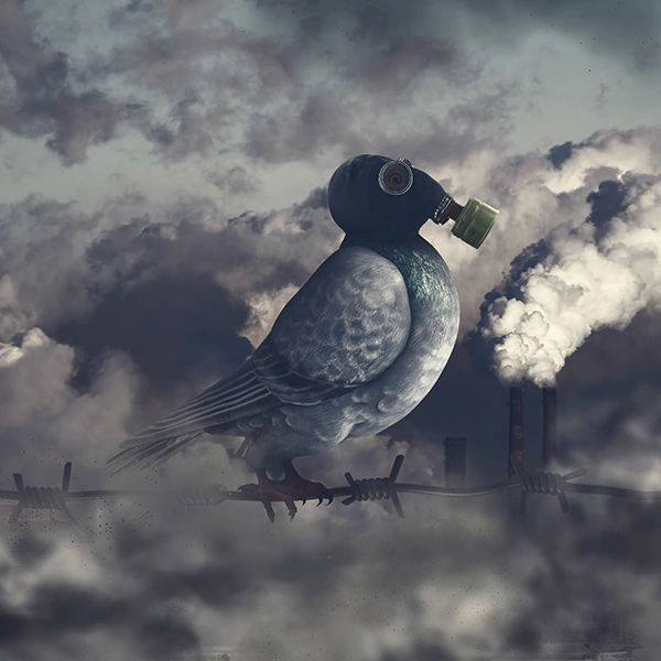 photomanipulation-portfolio-post-3