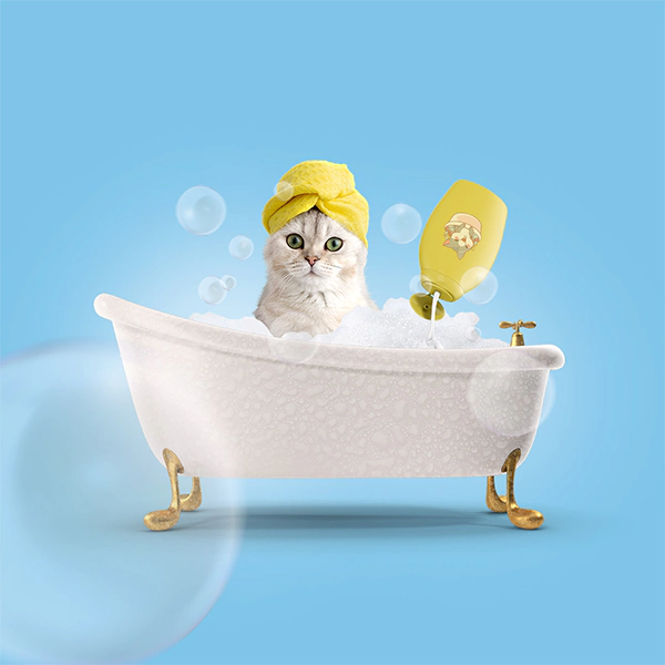 photomanipulation-portfolio-post-6