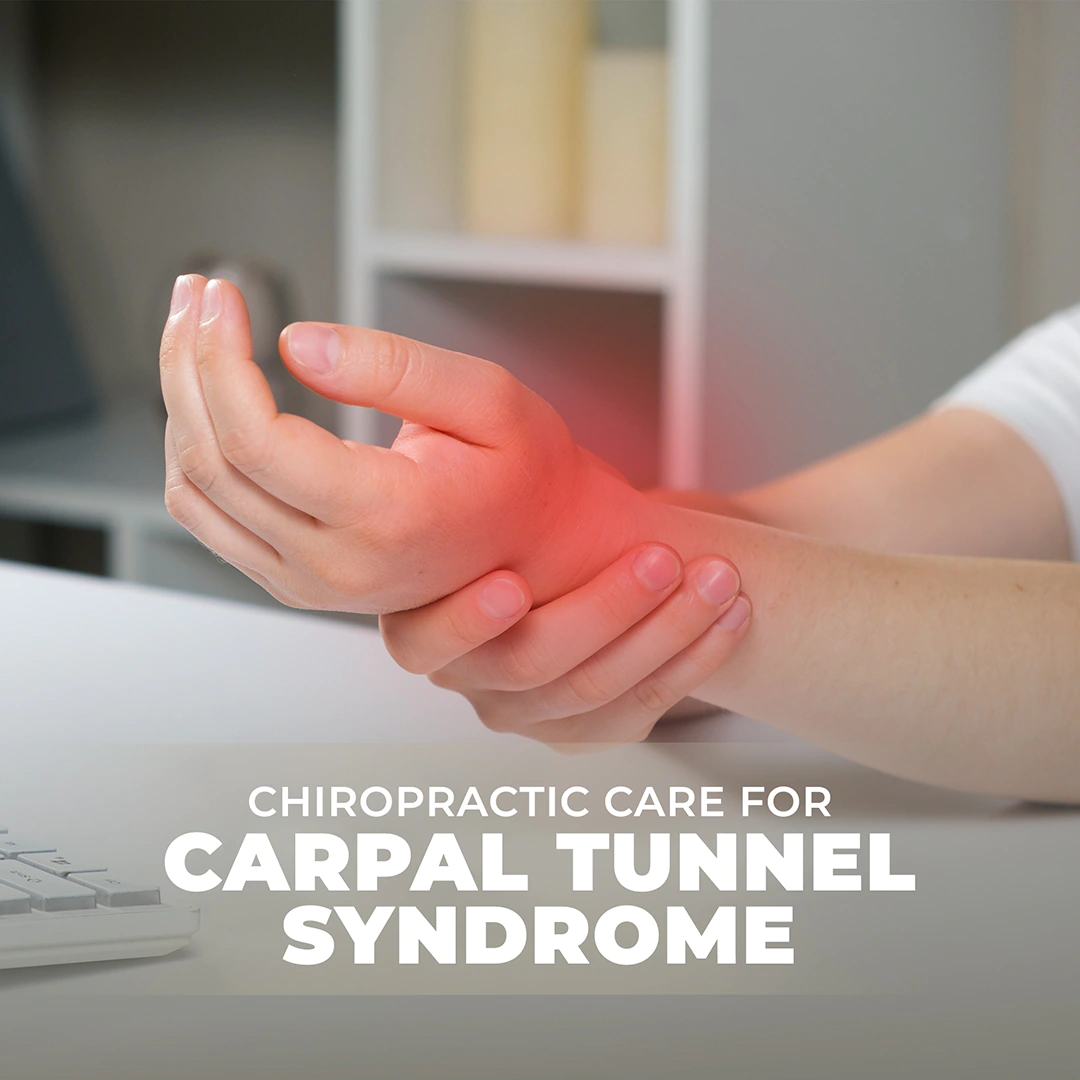 chiropractic feed presentation