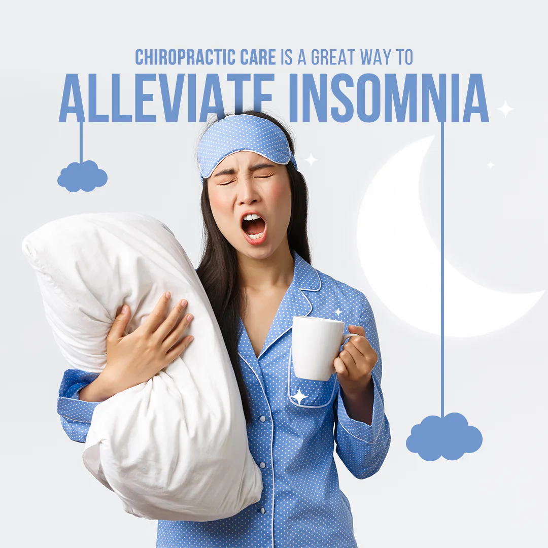 chiropractic feed presentation