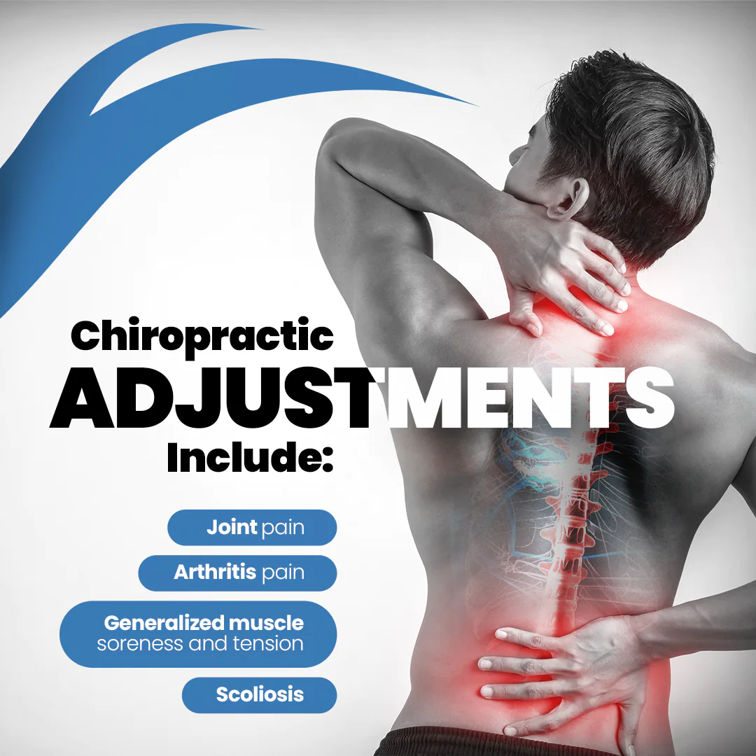 chiropractic feed presentation