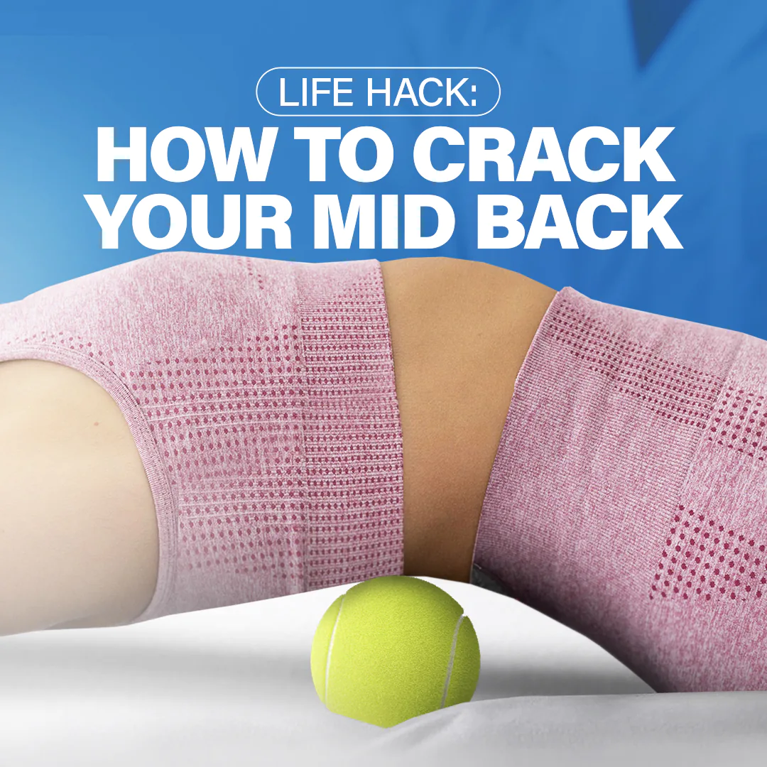 chiropractic feed presentation