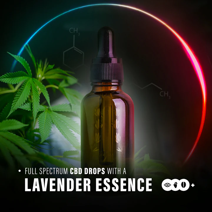 cbd feed presentation