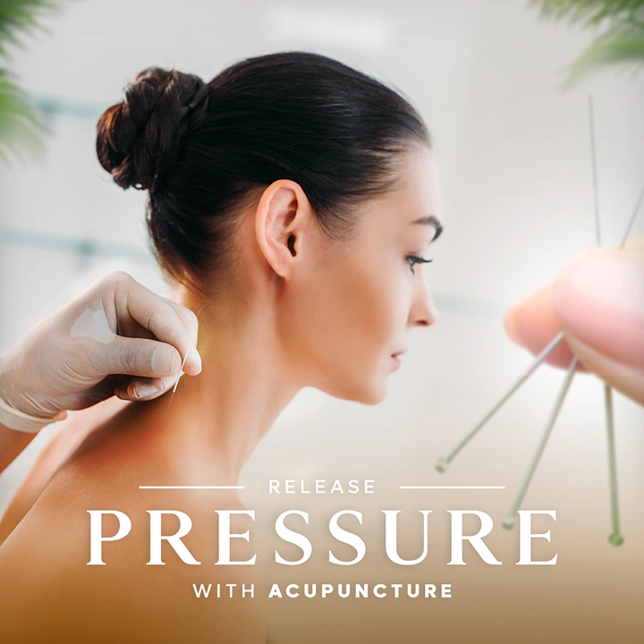 wellness and spa feed presentation