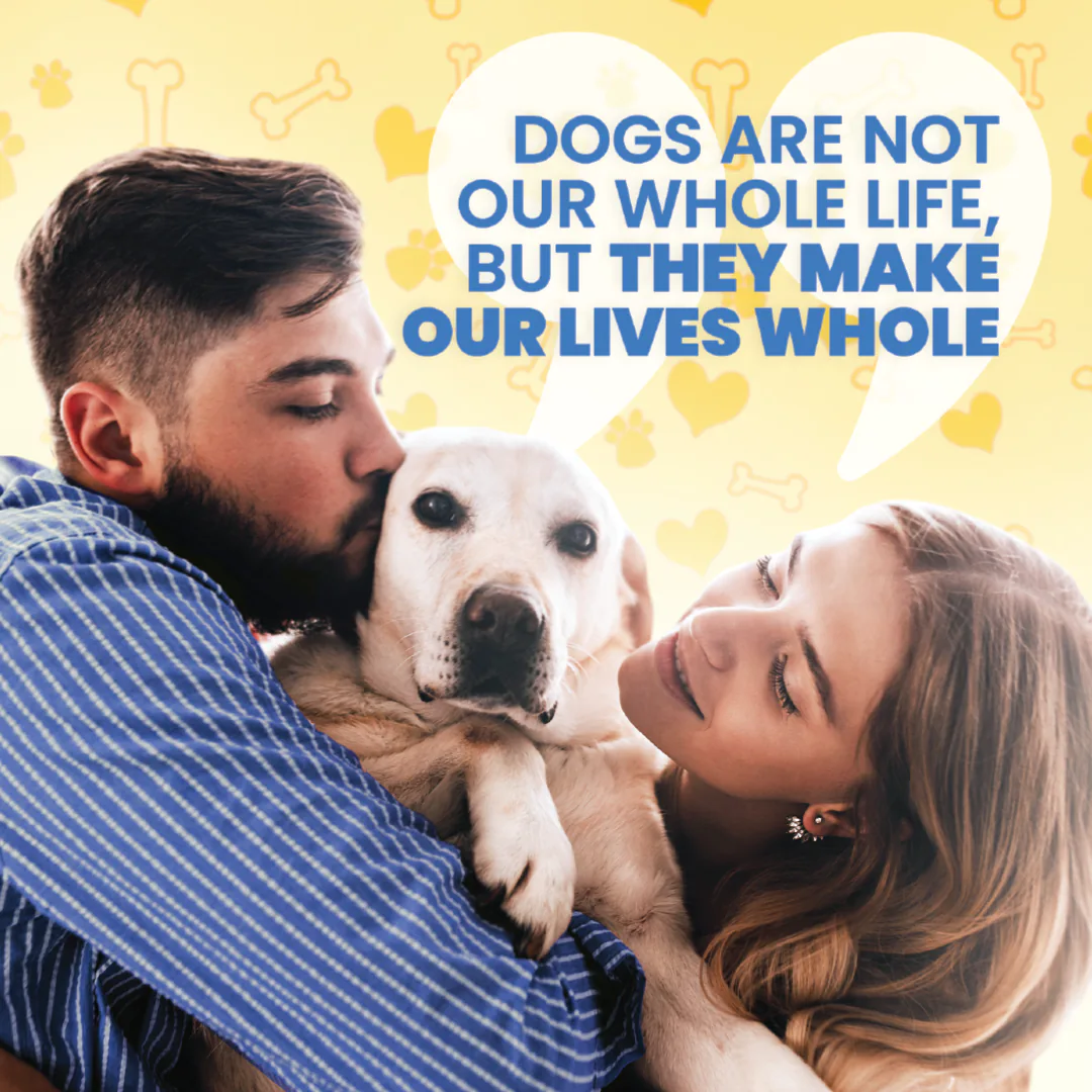 vets social media feed presentation