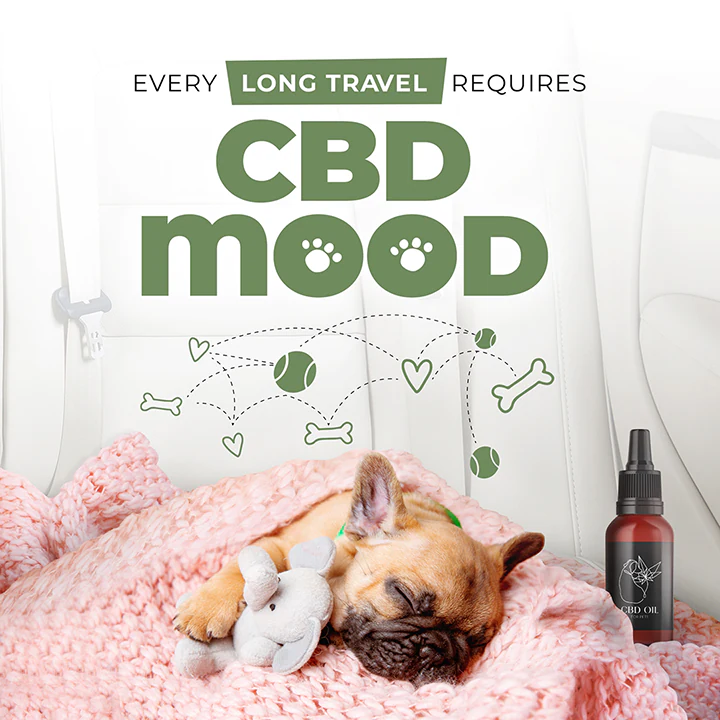 cbd feed presentation