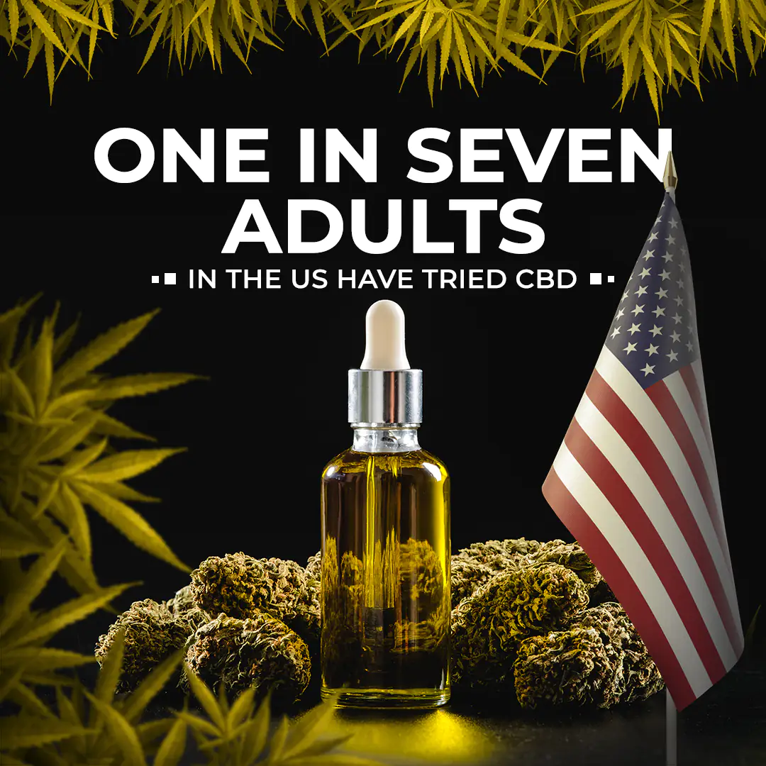 cbd feed presentation