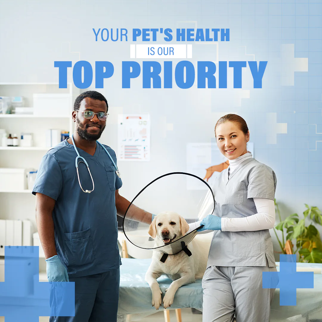 Social media for vets feed presentation