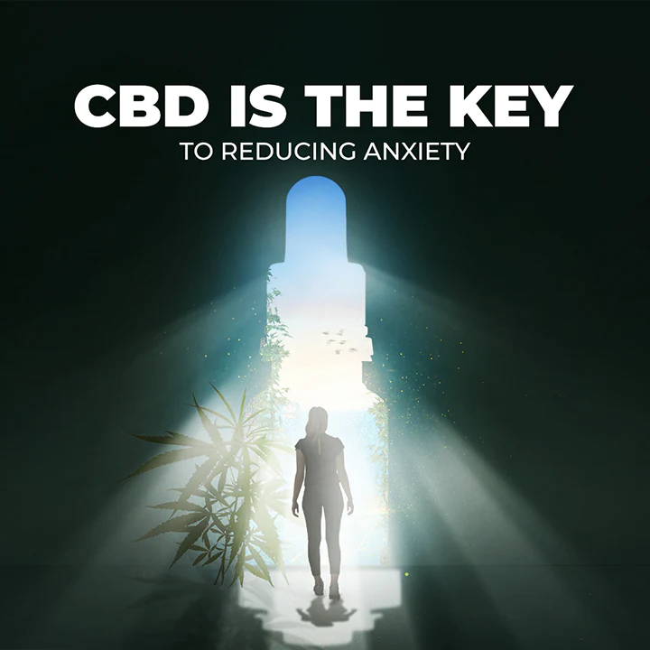 cbd feed presentation