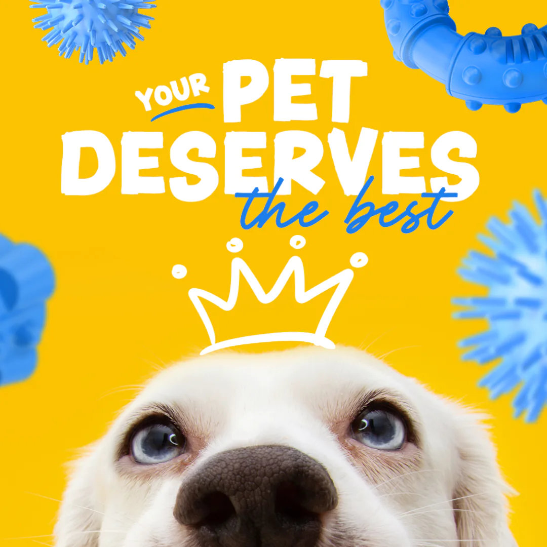 vets social media feed presentation