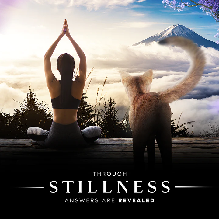 wellness and spa feed presentation