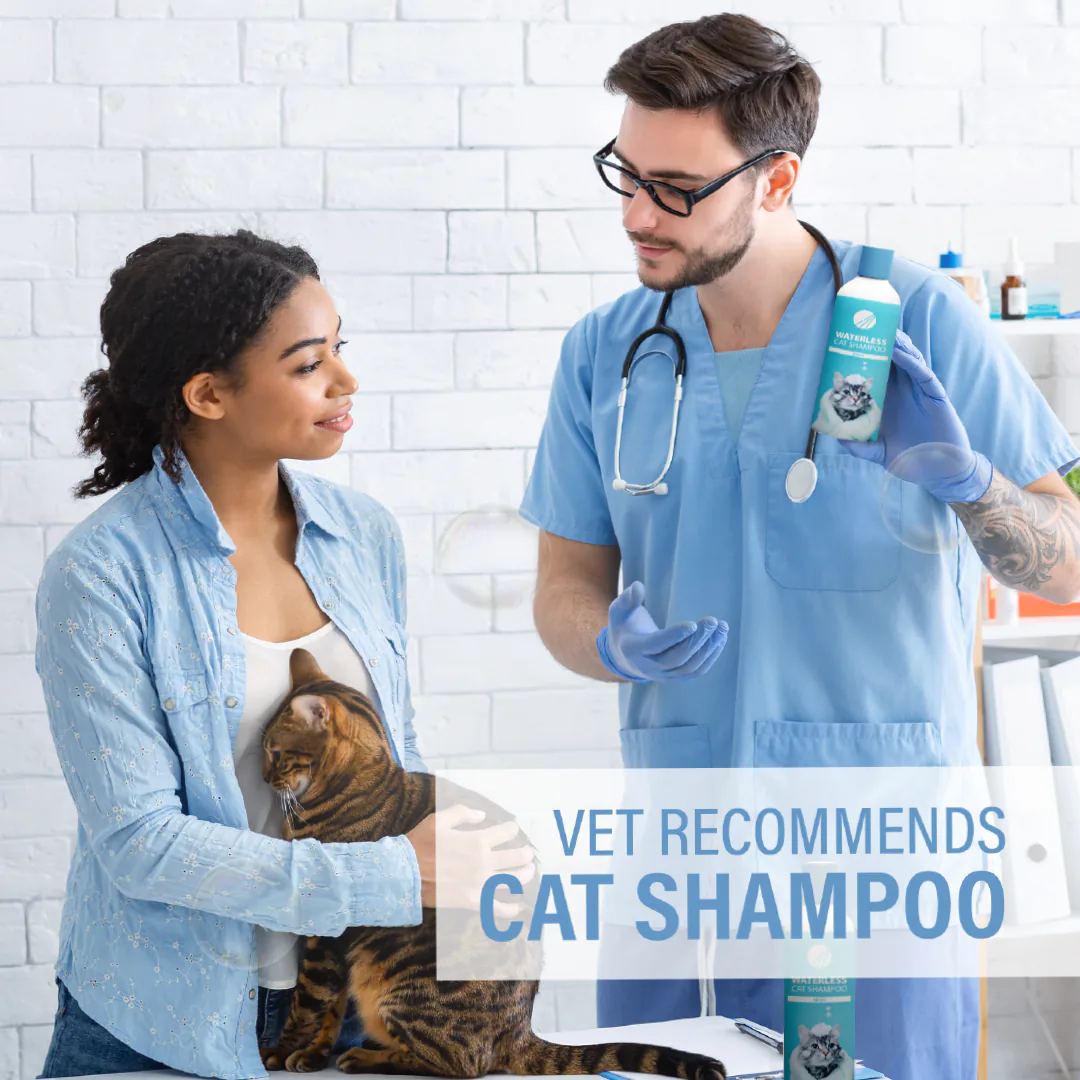 vets social media feed presentation