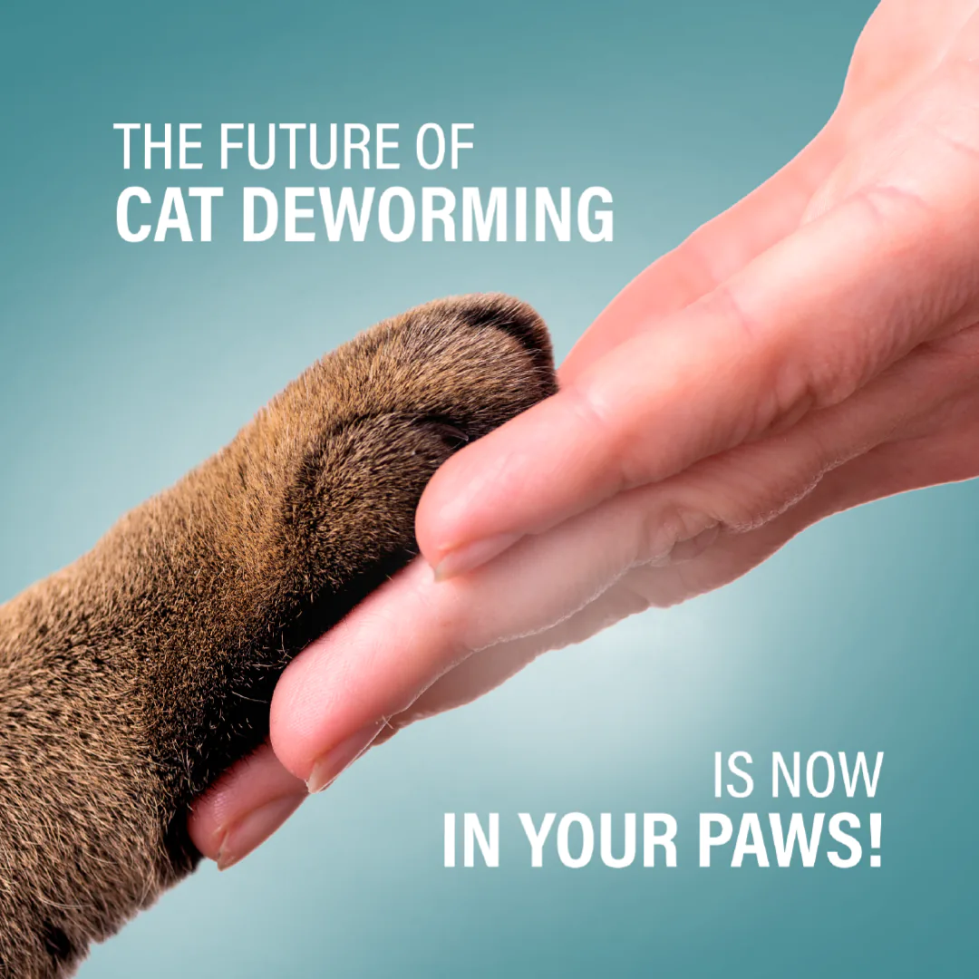 vets social media feed presentation