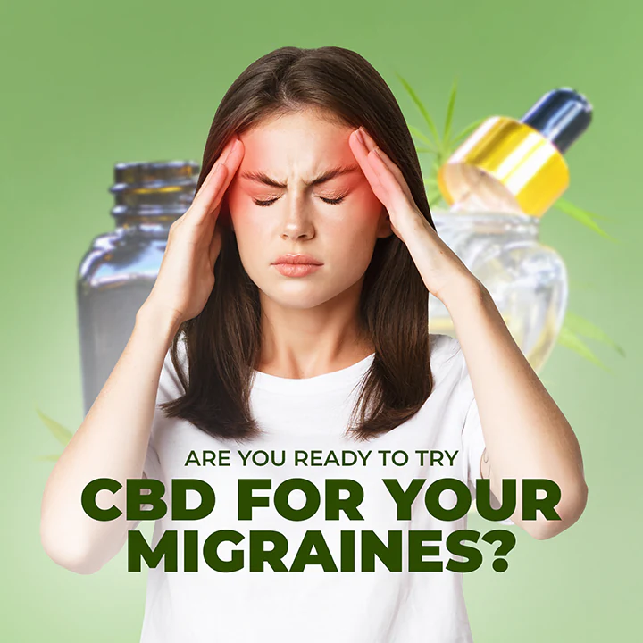 cbd feed presentation