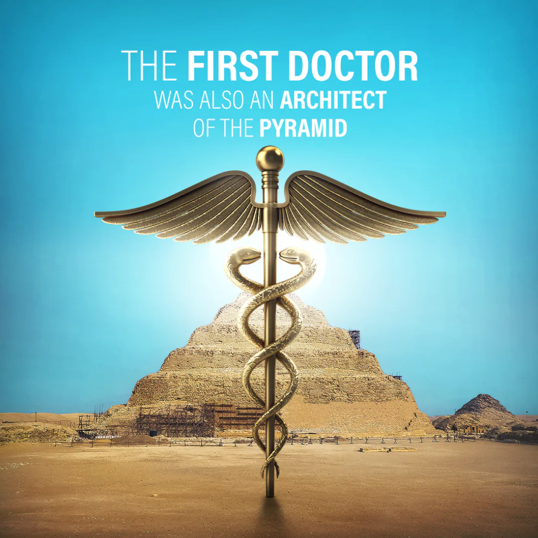 general practitioner feed presentation