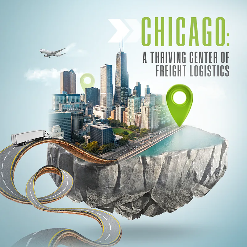 logo and illustration design, graphic designers in chicago