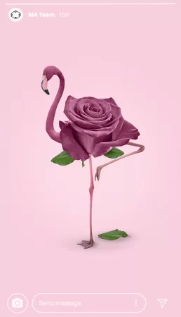 photomanipulation-story-2